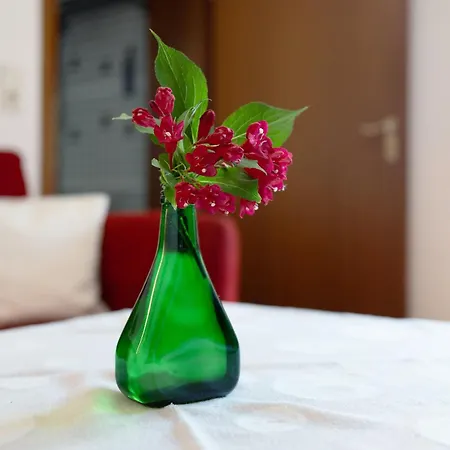 Apartment Aschoff Bühl